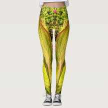 Guêtres de YouYou Canna