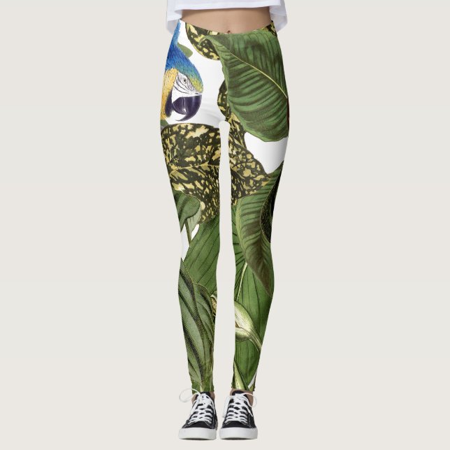 Leggings Guêtres d'impression d'oiseau de perroquet d'ara (Devant)