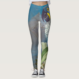 Leggings Guêtres d'impression d'oiseau de perroquet d'ara