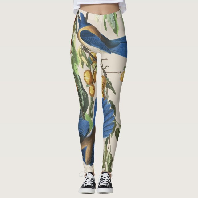 Leggings Guêtres d'impression d'oiseaux de geai bleu (Devant)