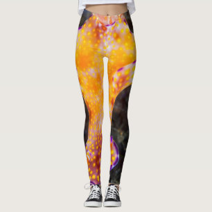 Leggings Guêtres splendides de Nudibranch