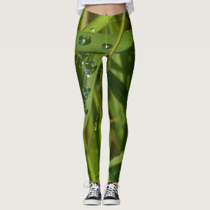 Leggings herbe avec la rosée