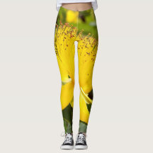 Leggings Hypericum Calcyinum