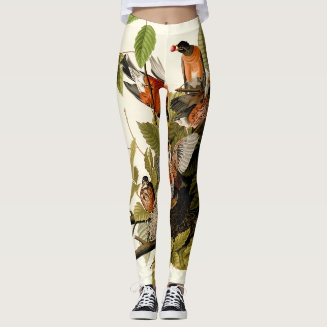 Leggings Illustration Audubon American Robin Wildlife Bird (Devant)