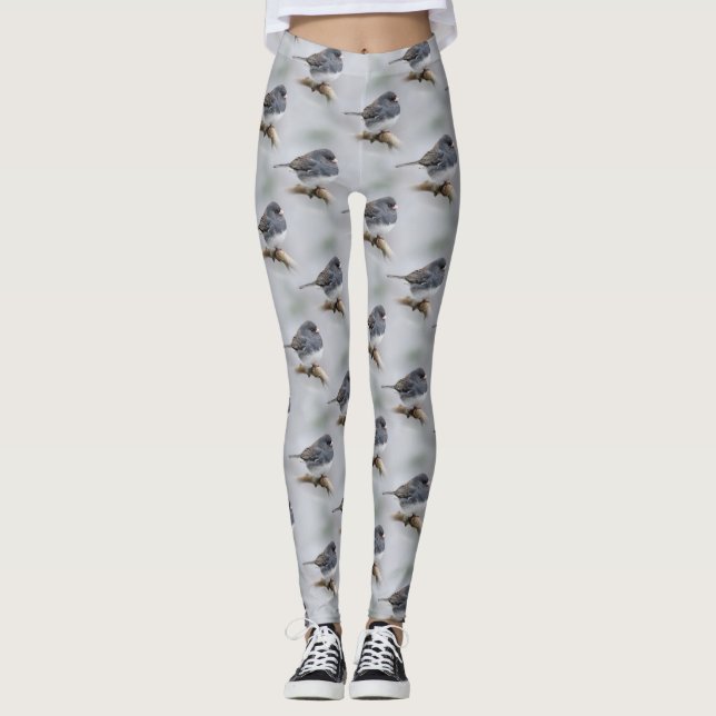 Leggings Junco à ardoise foncée sur l'arbre à poires (Devant)