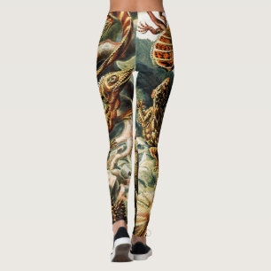 Leggings Lacertilia Lizards par Ernst Haeckel