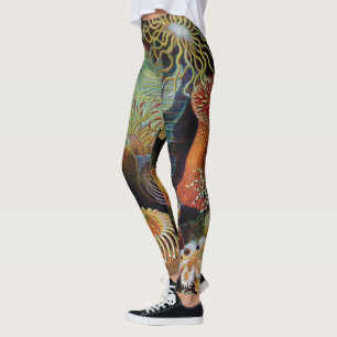 Leggings L'art de la nature par Ernst Haeckel
