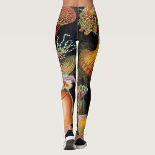 Leggings L'art de la nature par Ernst Haeckel