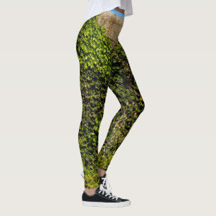Leggings Le lierre a couvert le mur en pierre de guêtres de