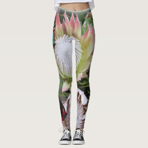 Leggings Le roi Protea d'Afrique du Sud
