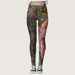 Leggings Les étoiles de mer/étoiles de mer dans le canon