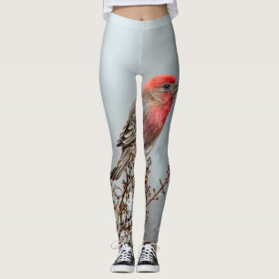 Leggings Maison Finch en Neige - Photo originale