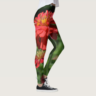 Leggings marguerite rouge orangé fleuri, jardin de fleurs r