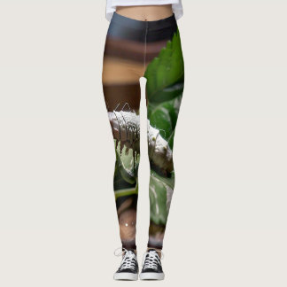 LEGGINGS MARVELS DE FIBRES NATURELS : LE VOYAGE DES MOTS D'