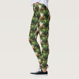 Leggings Meerkat Meilleur Siège À La Maison,
