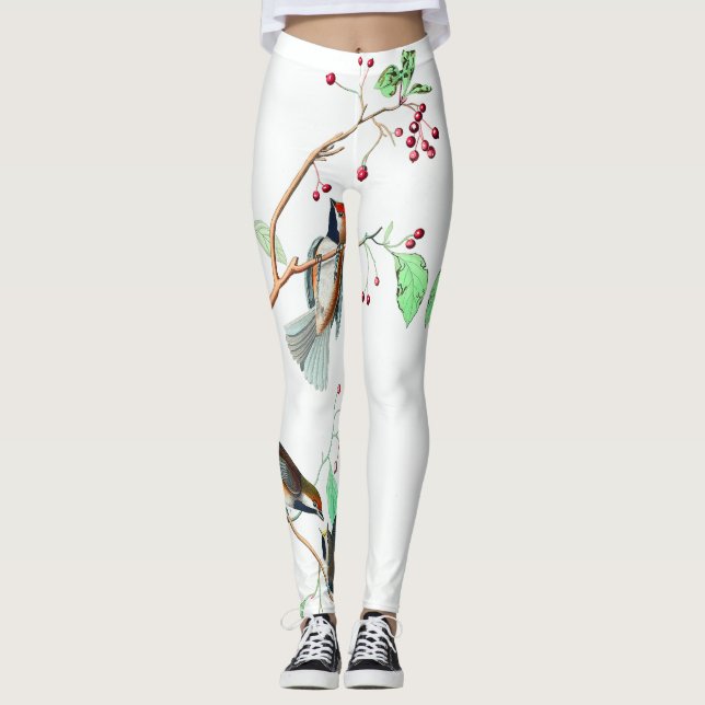 Leggings Oiseaux dans une succursale (Devant)