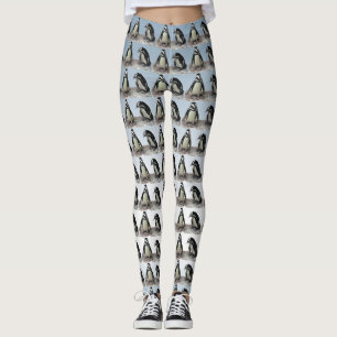 Leggings Oiseaux noirs et blancs de pingouin sur les
