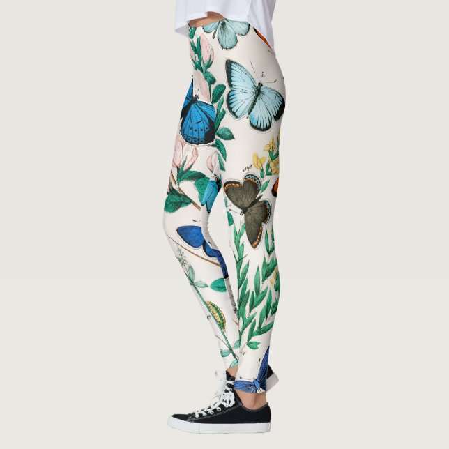 Leggings Papillons, chenilles de William Forsell Kirby (Gauche)