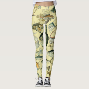 Leggings Pêche scientifique vintage