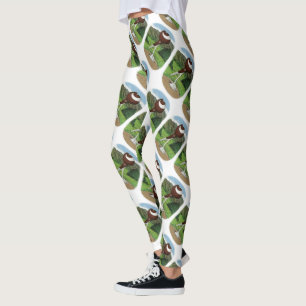 Leggings Pigeon Pouter Anglais Avec Montagne