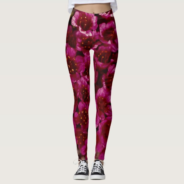 Leggings Purple Saxifrage Côte Fleur sauvage de l'Arctique (Devant)