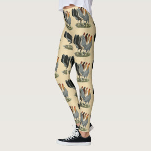 Leggings Quatre poules de combat