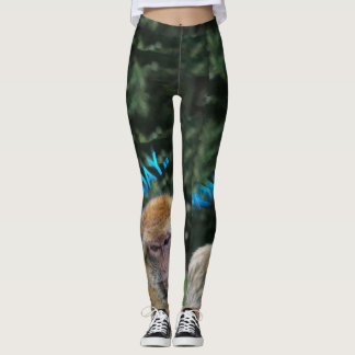 Leggings Singe triste au sujet de lundi
