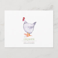 LEGHORN HEN, tony fernandes