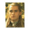 LEGOLAS GREENLEAF™ Golden Glow