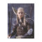 LEGOLAS GREENLEAF™ on Horse