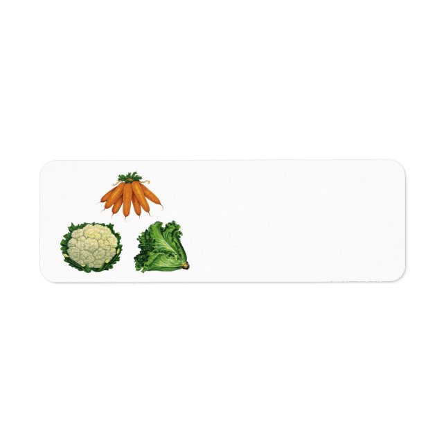 Légumes vintages; Carottes, Chou-fleur, Laitue (Devant)