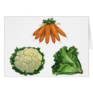Légumes vintages; Carottes, Chou-fleur, Laitue
