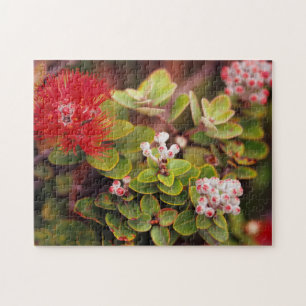 Lehua Blossoms In Hawaii Volcanoes Jigsaw Puzzle