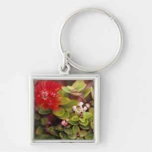Lehua Blossoms In Hawaii Volcanoes Keychain