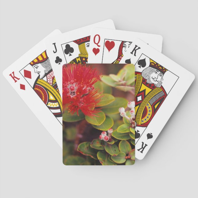 Lehua Blossoms In Hawaii Volcanoes Playing Cards (Back)