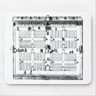 Leiden Botanic Garden (engraving) (b/w photo) Mouse Pad