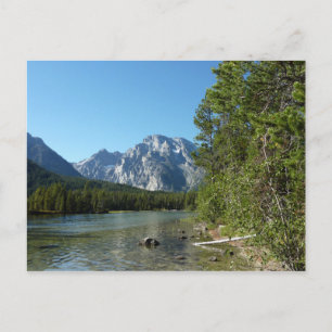 Leigh Lake at Grand Teton National Park Postcard