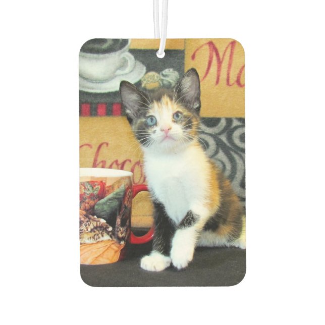 Leilani - Coffee Anyone?: Cat/Kitten Air Freshener (Back)