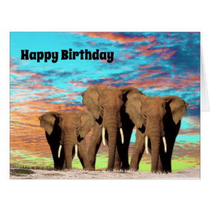 L'Eléphant Gang, Carte Jumbo Anniversaire