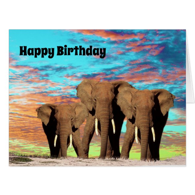 L'Eléphant Gang, Carte Jumbo Anniversaire (Devant horizontal)