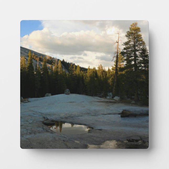 Lembert Dome in Tuolumne Meadows, Yosemite, CA Plaque (Front)