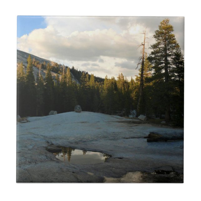 Lembert Dome in Tuolumne Meadows, Yosemite, CA Tile (Front)
