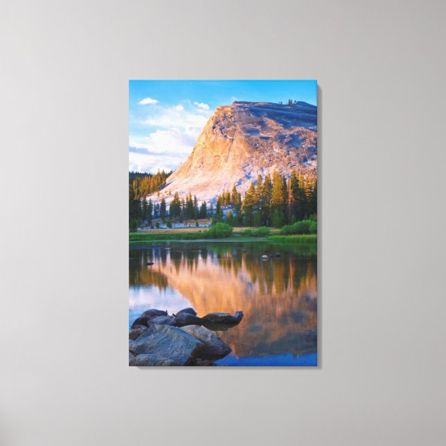Lembert Dome scenic, California Canvas Print (Front)