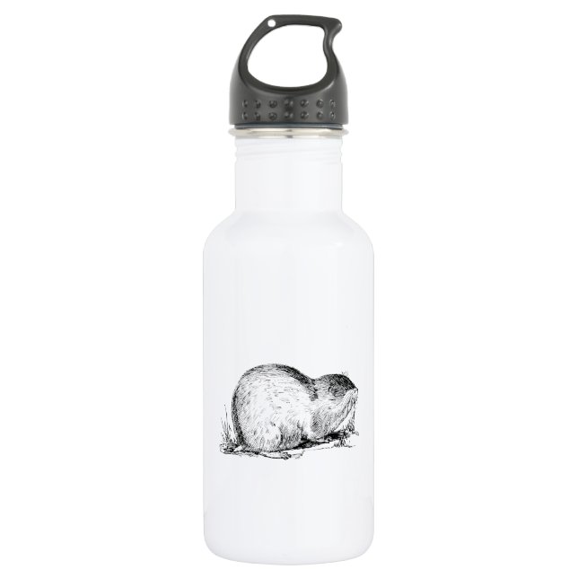 Lemming 532 Ml Water Bottle (Front)