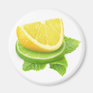 Lemon and lime slices magnet