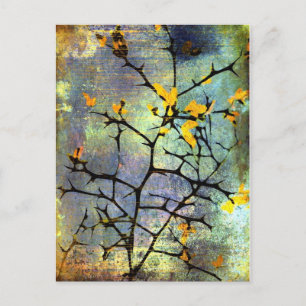 Lemon Blossoms Postcard