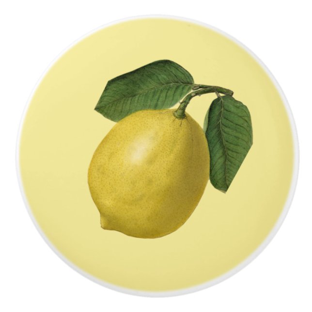 Lemon ~ Botanical Fruit ~ Any Background Colour ~ Ceramic Knob (Front)