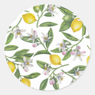 Lemon branches with blossoms and fruit on white classic round sticker