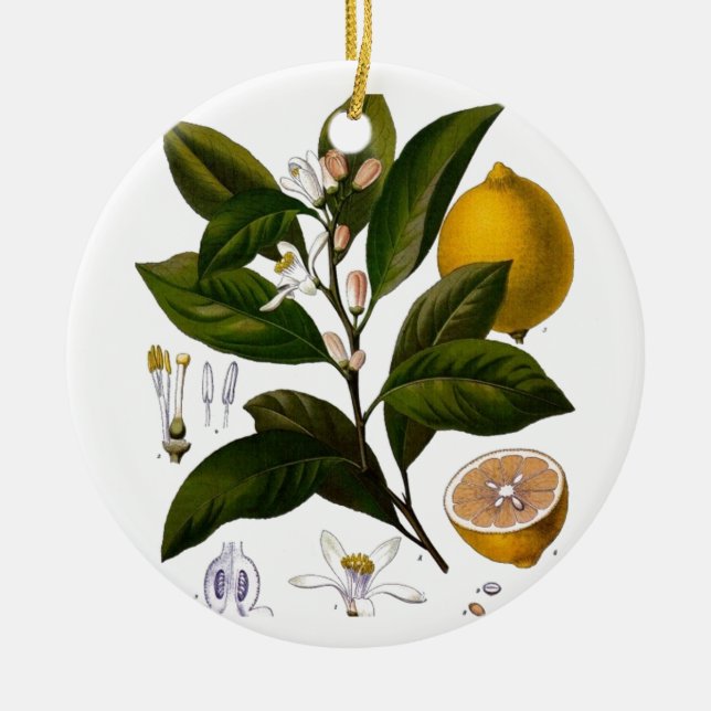Lemon Ceramic Ornament (Front)