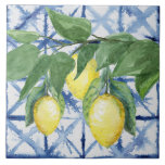 Lemon Citrus Foliage Blue White Pattern Watercolor Tile<br><div class="desc">"Lemon Citrus Foliage Blue White Pattern Watercolor ceramic tile."  Modern,  original artwork in watercolor features lemons hanging on a branch with leaf foliage greenery over a blue and white Shibori tie dye pattern.  Created by internationally licensed artist and designer,  Audrey Jeanne Roberts,  copyright.</div>